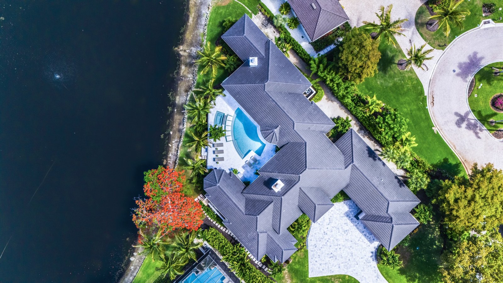 Aerial view of a luxury estate pool by Avant-Garde Pools and Spas